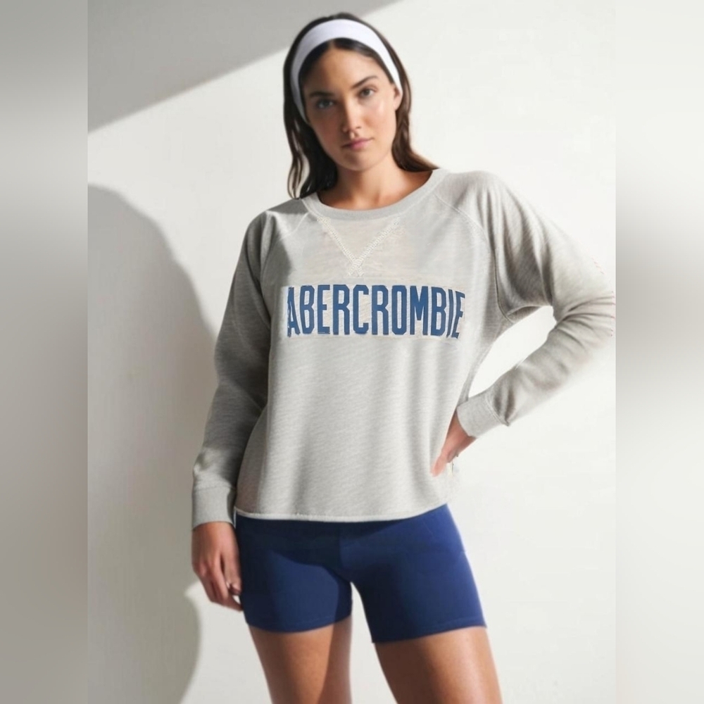 Abercrombie & Fitch Gray Crew Neck Logo  Sweatshirt